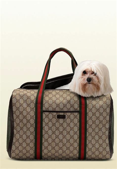 gucci pug tote bag|Designer Dog Carrier .